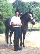 Daniel Woehrmann with his "dressage partner" Spanish-Norman gelding Koby Doblado