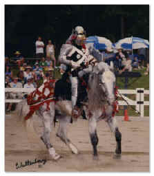 Spanish-Norman stallion, Romantico H.H.F. and Garry McAllister compete at U.S.E.T. 'Festival of Champions.'