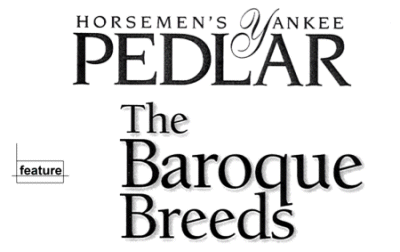 Horsemen's Yankee Pedlar feature article: The Baroque Breeds