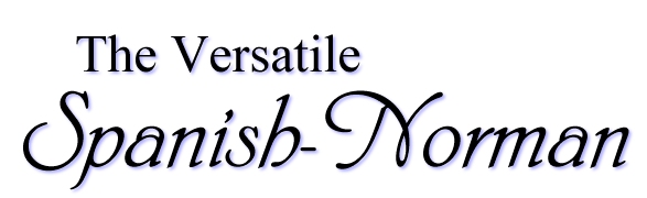 'The Versatile Spanish-Norman'