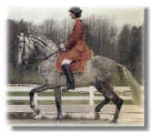 Breyer Horse Model Embajador IX, Bettina Drummond up.