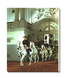 The Spanish Riding School