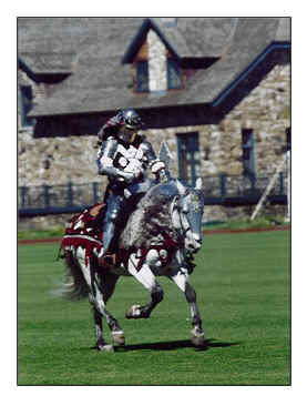 Spanish-Norman stallion Romantico H.H.F. being exhibited by Garry McAllister at the Greenwich Polo Club. Photo: Tom Sullivan, Jr.
