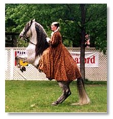 Tina Veder with her Andalusian stallion Destinado