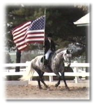 Spanish-Norman mare Victoria of Fox Run, owned by Victoria McIntire and Ronald Phillips of Richmond, KY