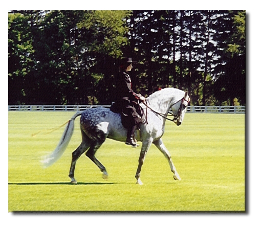 Embajador XI with Bettina Drummond; September 12, 1999 at the Greenwich Polo Club, Greenwich Connecticut